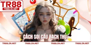 Cách Soi Cầu Bạch Thủ - Phương Pháp Nâng Cao Tỷ Lệ Trúng Số