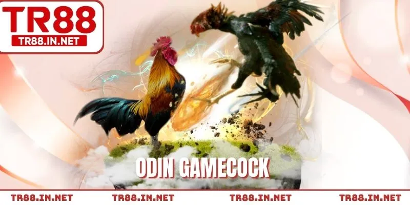 Đối tác đình đám với tiêu chuẩn khắt khe