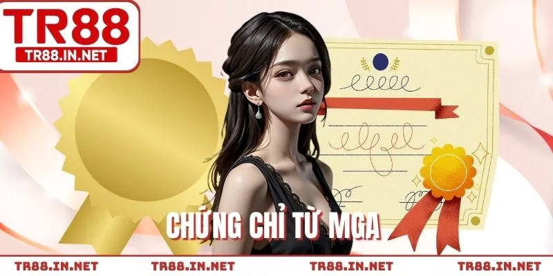 Hợp pháp hóa hoạt động nhờ tổ chức MGA